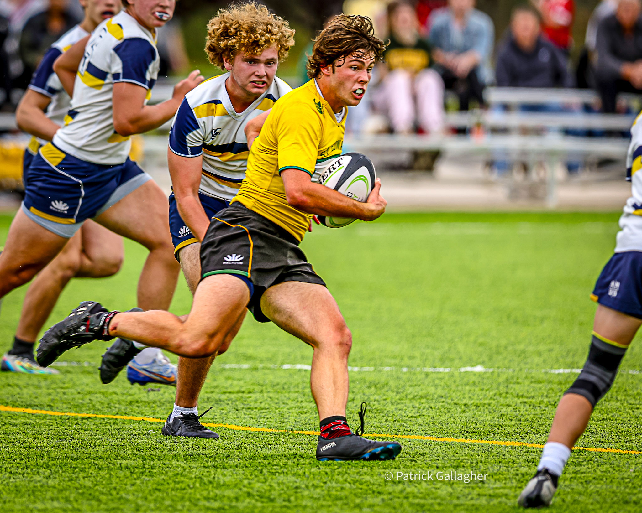 varsity gold rugby player escaping defenders during a match in 2023
